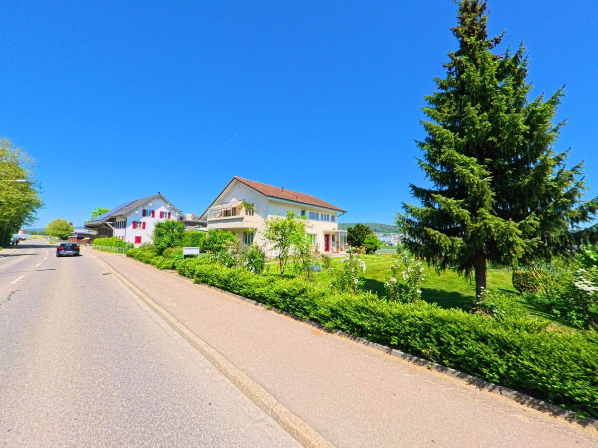 In Dällikon im PLZ-Gebiet 8108 im Kanton Zürich stehen Einfamilienhäuser mit gepflegten Gärten entlang einer Hauptstrasse mit Gehweg und Strassenbaum.