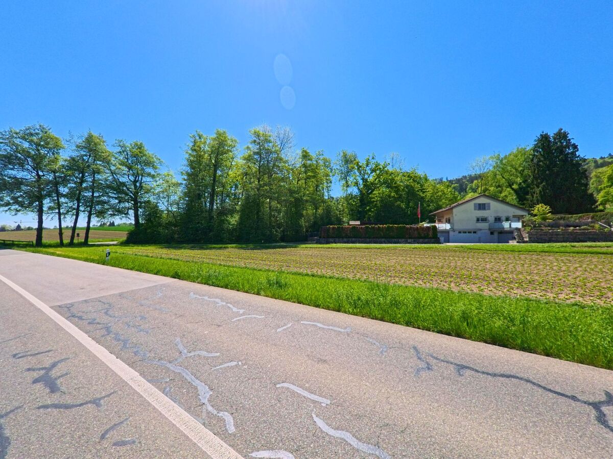 In Dällikon im PLZ-Bereich 8108 im Kanton Zürich verläuft eine Landstrasse an Feldern und einem freistehenden Wohnhaus am Waldrand entlang.