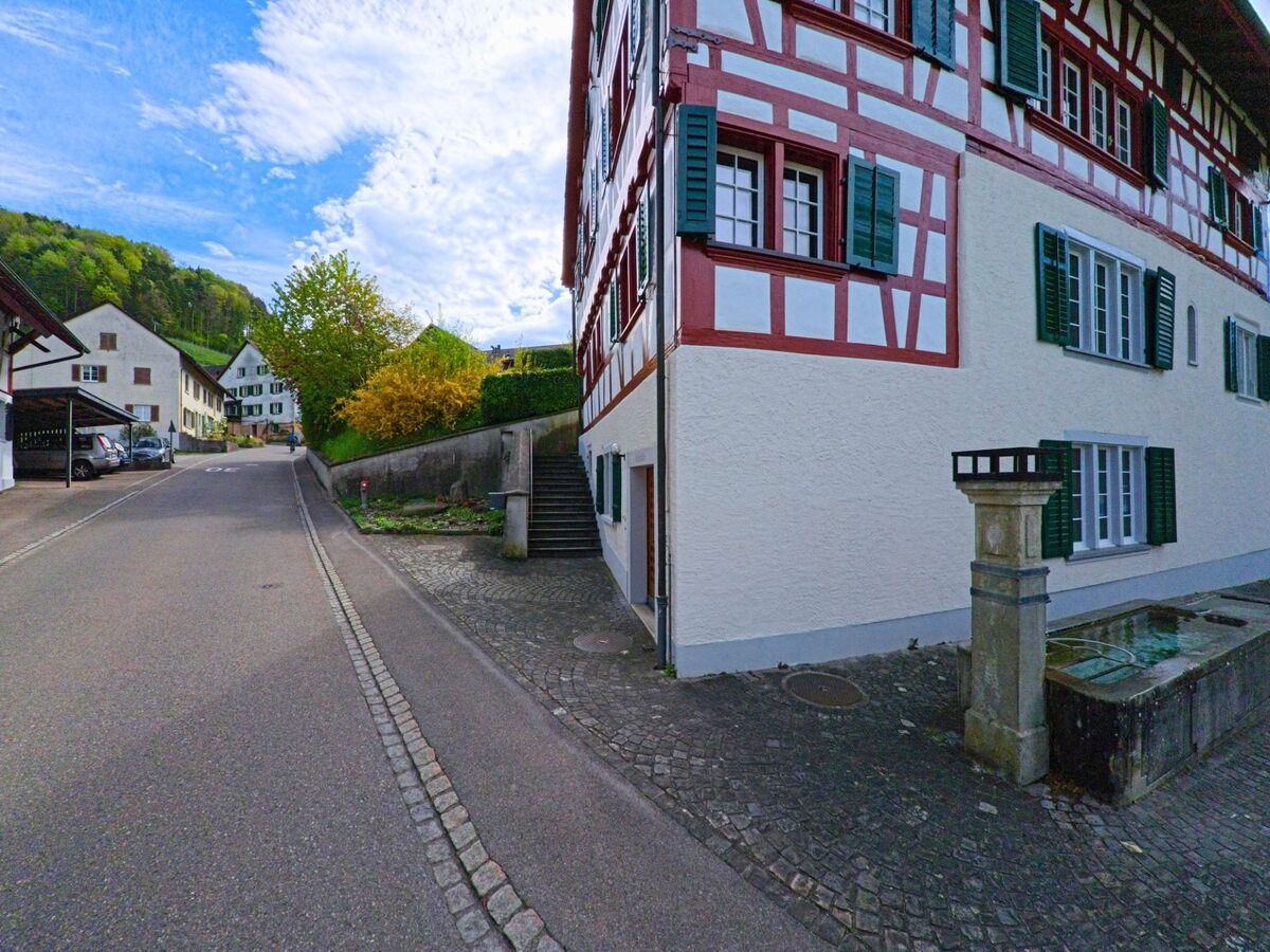 In der Gemeinde Dättlikon im Kanton Zürich, PLZ 8421, säumen traditionelle Fachwerkhäuser und ein Brunnen eine leicht ansteigende Dorfstrasse mit Kopfsteinpflaster.