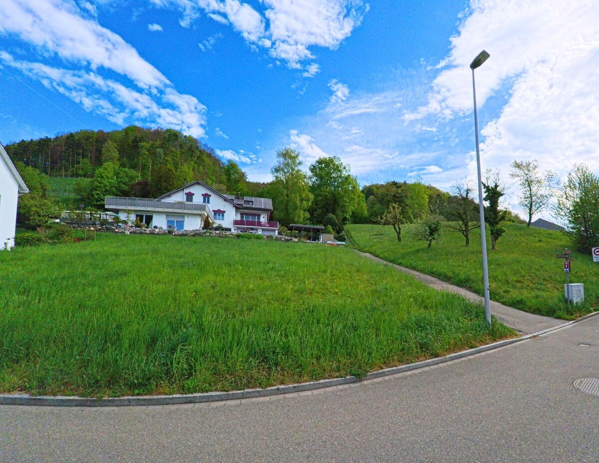 In Dättlikon im Kanton Zürich, PLZ 8421, führt ein schmaler Fussweg über eine grüne Wiese hinauf zu einem Wohnhaus am Waldrand mit Blick auf den Hang.