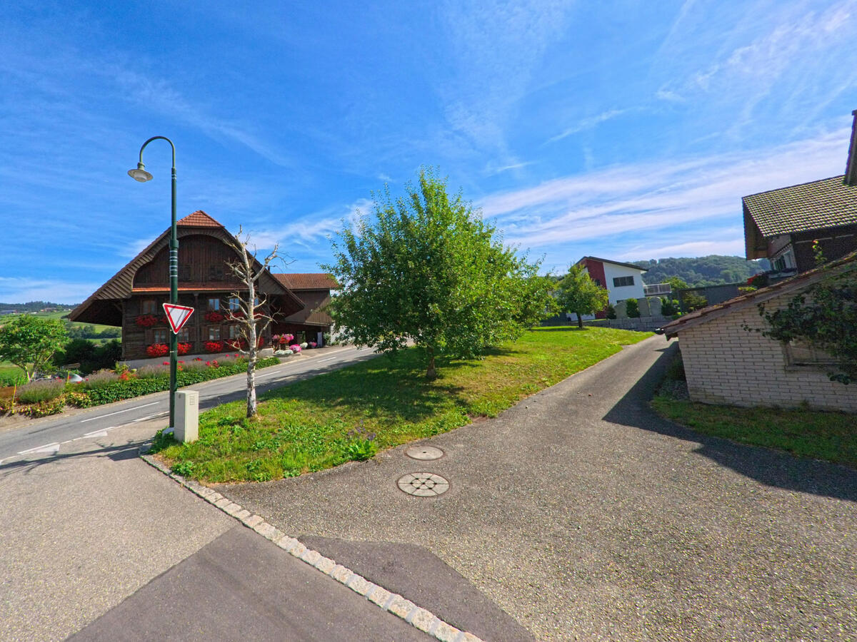 In Dagmersellen (6211, Kanton Luzern) steht ein traditionelles Bauernhaus mit roten Blumen vor ausgedehnten Feldern, eingerahmt von einem kleinen Baum und einer Weggabelung im Vordergrund.