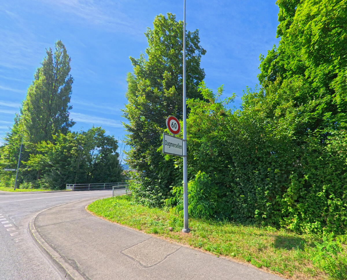Ein Ortsschild an einer Kurve markiert den Beginn von Dagmersellen (6252, Kanton Luzern) und steht vor dichtem Gruen am Strassenrand.
