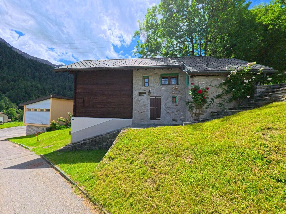 Ein kleines Steinhaus mit Holzfassade und rankenden Rosen steht in Dalpe (6774, Kanton Tessin) am Hang unterhalb eines Waldrandes.