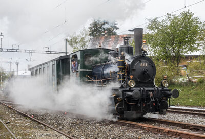 Dampfbahn-Verein Zürcher Oberland