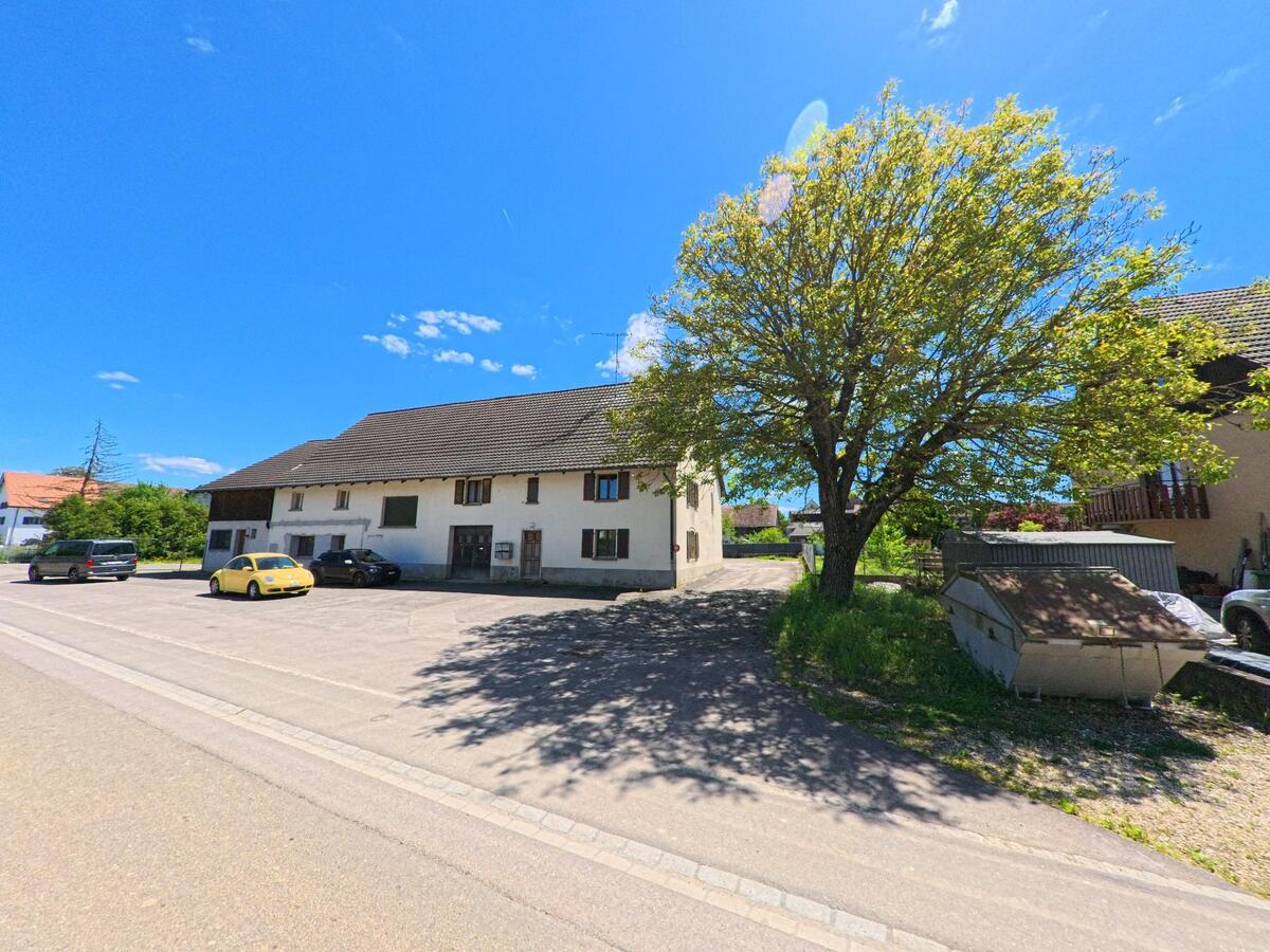An einer ruhigen Strasse in Damphreux (2933, Kanton Jura) steht ein langgestrecktes Wohnhaus neben einem grossen Laubbaum und mehreren parkierten Fahrzeugen.