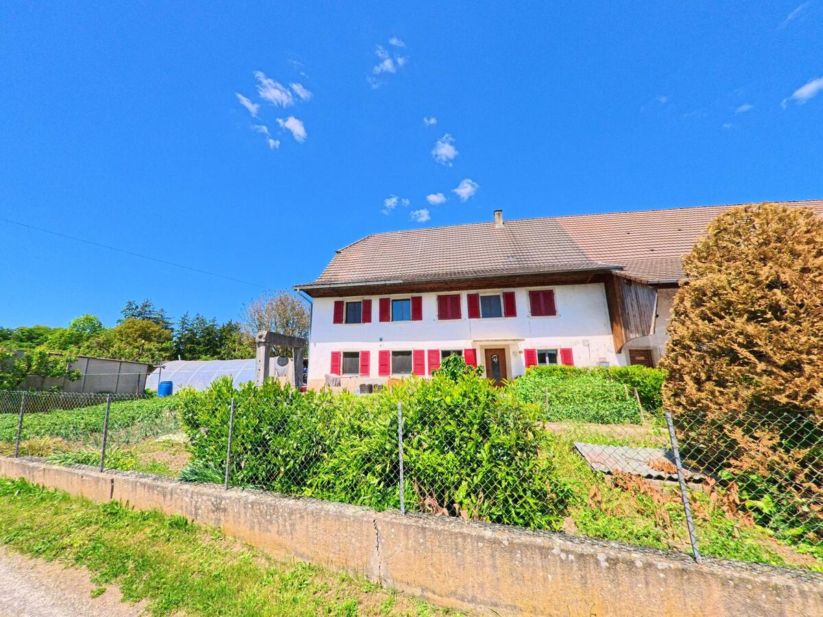 ntlang einer geschwungenen Dorfstrasse in Damphreux (2933, Kanton Jura) stehen ein eingeschossiges Wohnhaus mit Garten sowie weitere Häuser, während im Hintergrund ein Kirchturm sichtbar ist.
