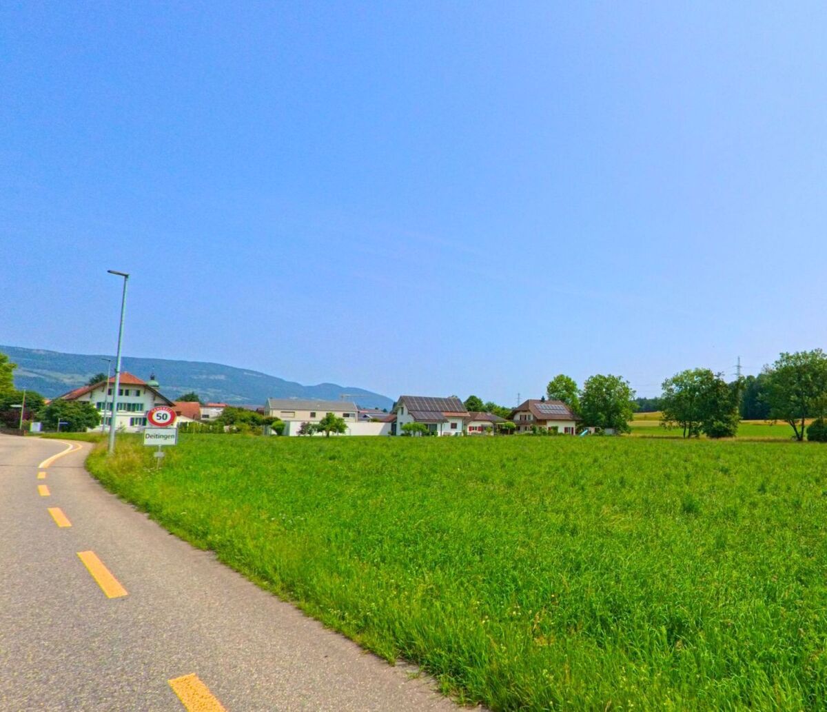 Eine Landstrasse führt am Ortseingang von Deitingen (4543, Kanton Solothurn) vorbei, eingerahmt von grünen Wiesen und Blick auf den Jura.