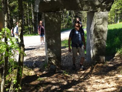 In Steinen (6422, Kanton Schwyz) führt der Pfad durch eine ruhige, grüne Landschaft mit Wiesen und Bäumen, die zum entspannten Spazieren einlädt.