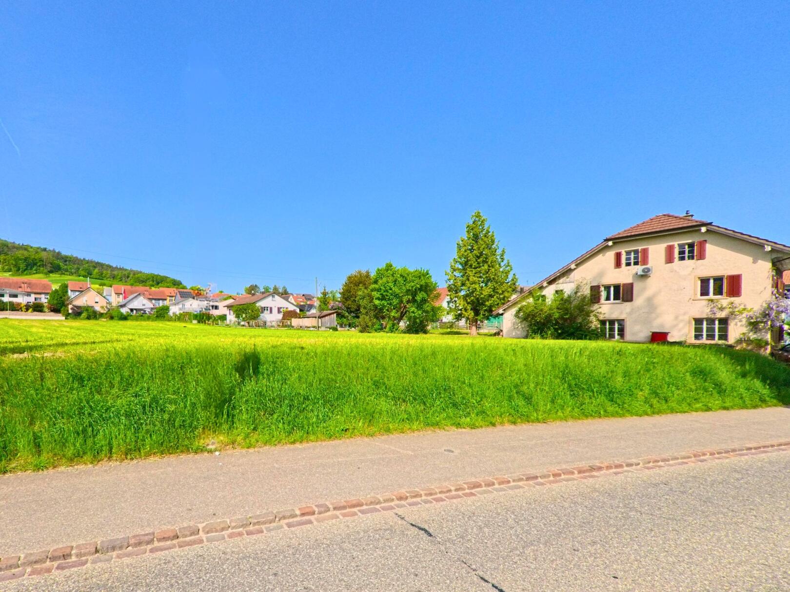 In Diegten (4457, Kanton Baselland) führt eine Strasse an einem grünen Feld vorbei, mit einem malerischen Blick auf das Dorf und den Kirchturm im Hintergrund.