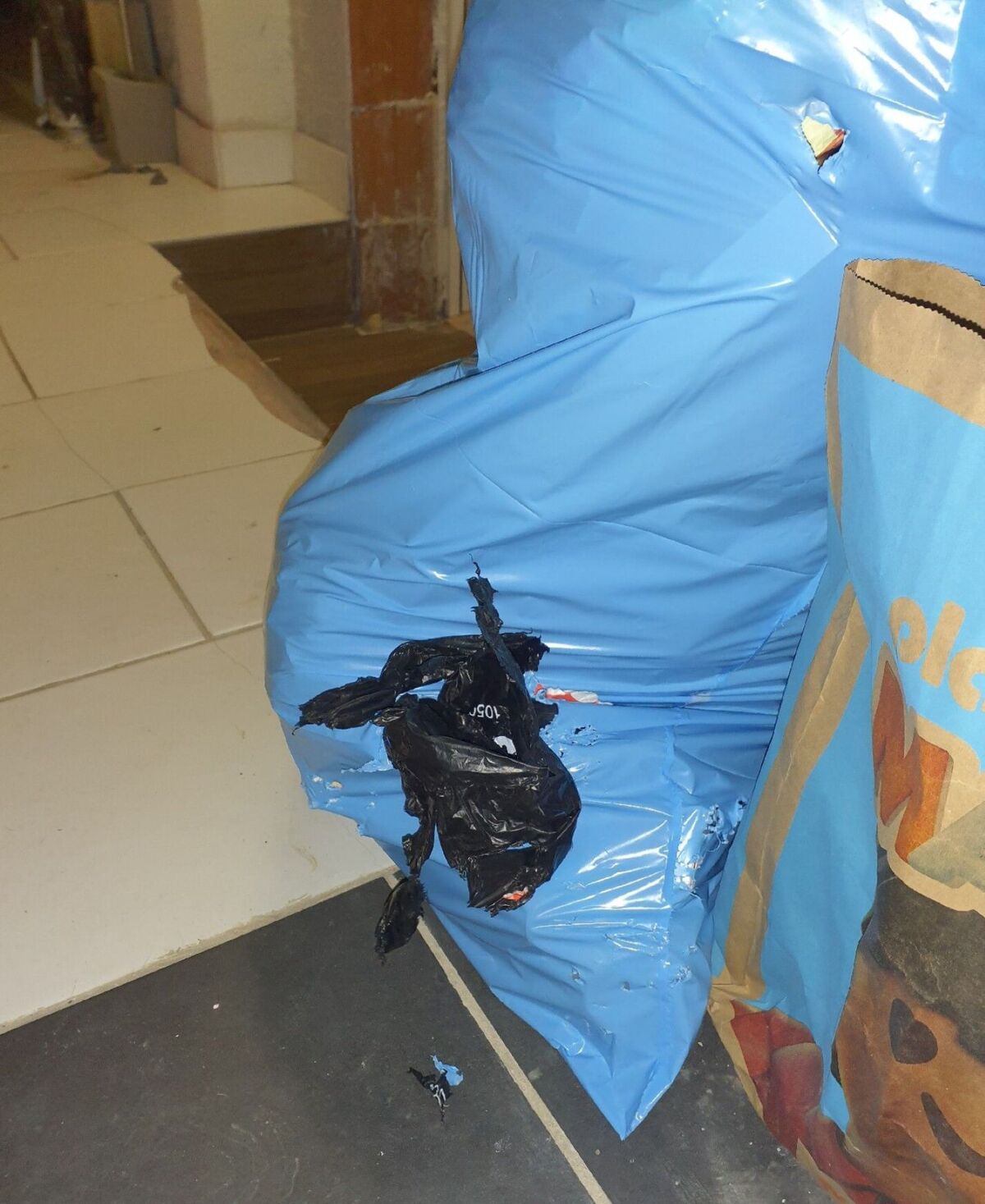  In einem Flur in Dielsdorf (8157, Kanton Zürich) liegt ein beschädigter, blauer Abfallsack mit mehreren Rissen und angebissenen Stellen, daneben ein Papiersack mit Aufdruck.