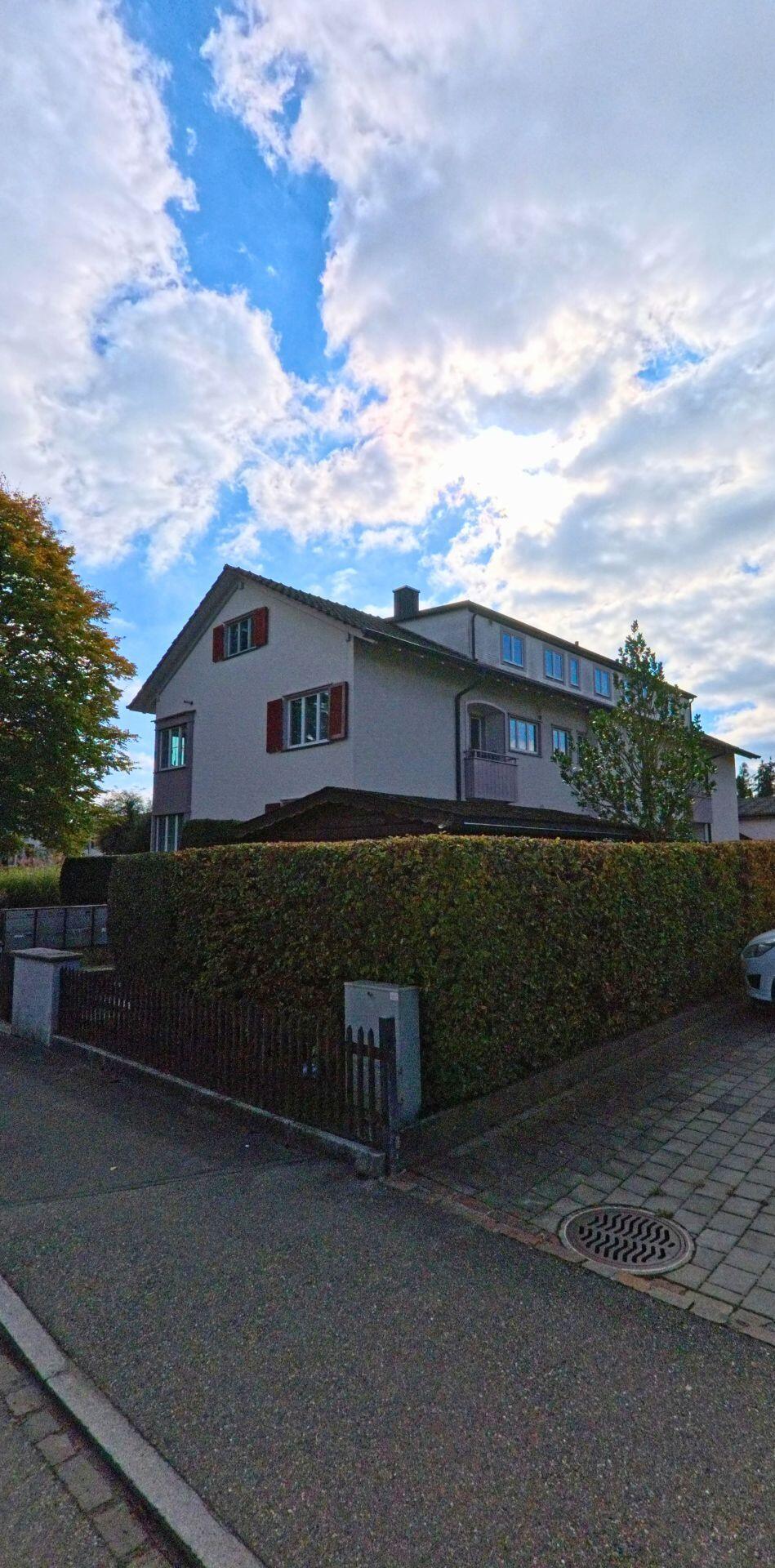 Hinter einer hohen Hecke in Diessenhofen (8253, Kanton Thurgau) steht ein Wohnhaus mit roten Fensterläden an einer ruhigen Quartierstrasse.