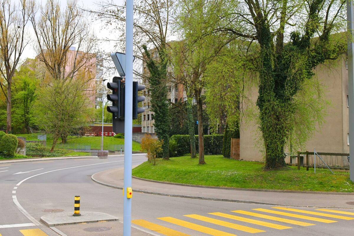 In Dietikon, PLZ 8953 im Kanton Zürich, führt eine geschwungene Strasse mit Fussgängerstreifen an einer von Bäumen umgebenen Wohnsiedlung vorbei.