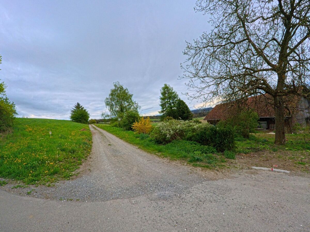 In Dinhard im Kanton Zürich, PLZ 8474, führt ein unbefestigter Weg vorbei an einer Scheune durch eine von Bäumen und Wiesen geprägte Landschaft.