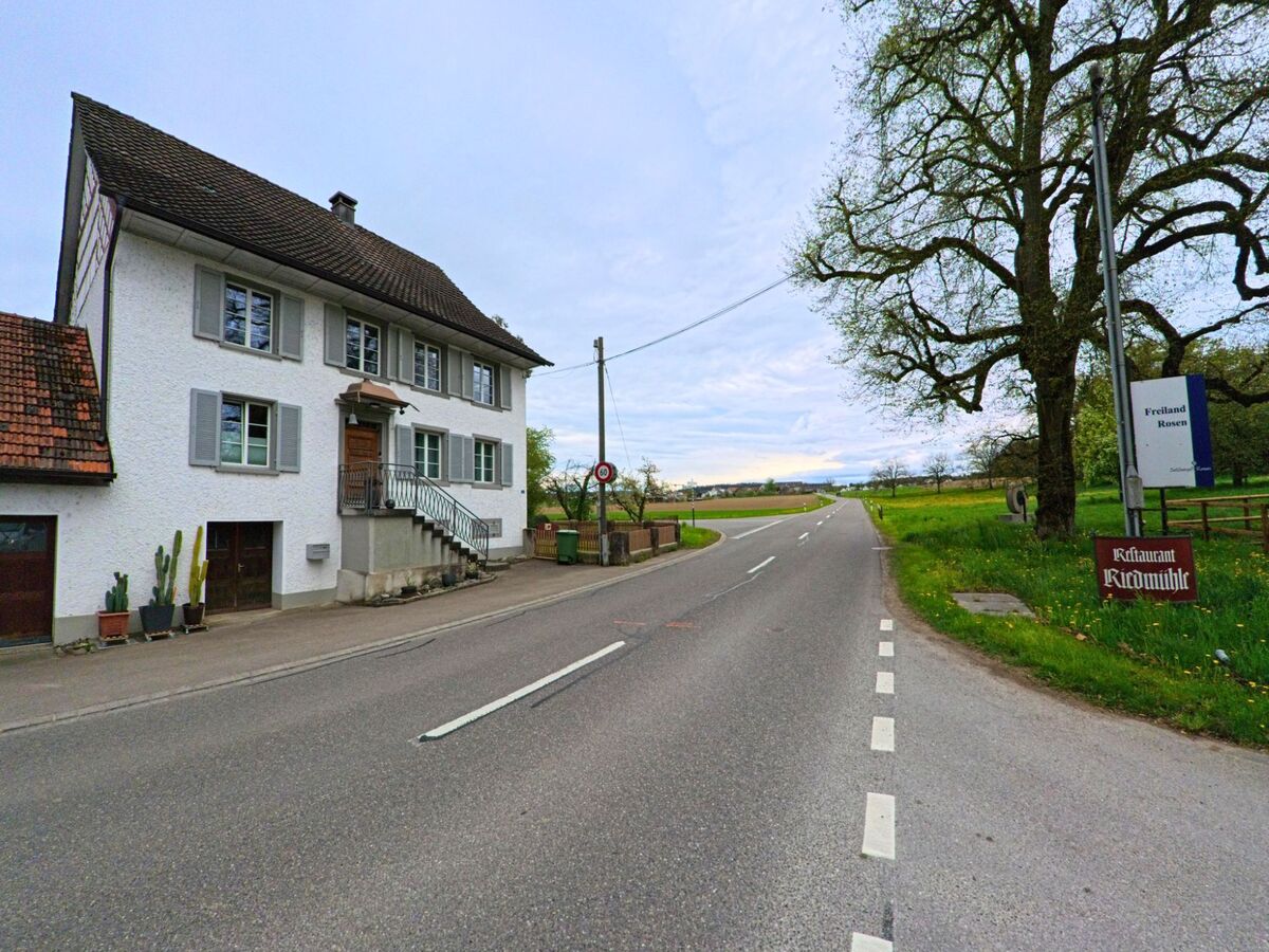 In Dinhard im Kanton Zürich, PLZ 8474, liegt an einer Ausfallstrasse das Restaurant Riedmühle neben einem weiss verputzten Wohnhaus und alten Eichenbäumen.