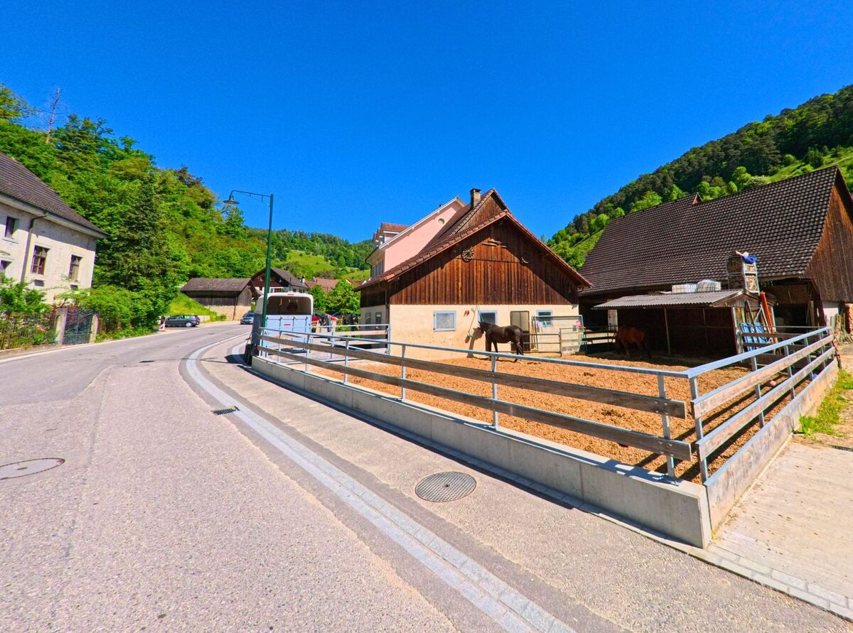 Am Rand einer Kurve in Dittingen (4243, Kanton Baselland) liegt ein Bauernhof mit Pferdegehege und traditionellen Stallgebaeuden vor bewaldetem Hang.