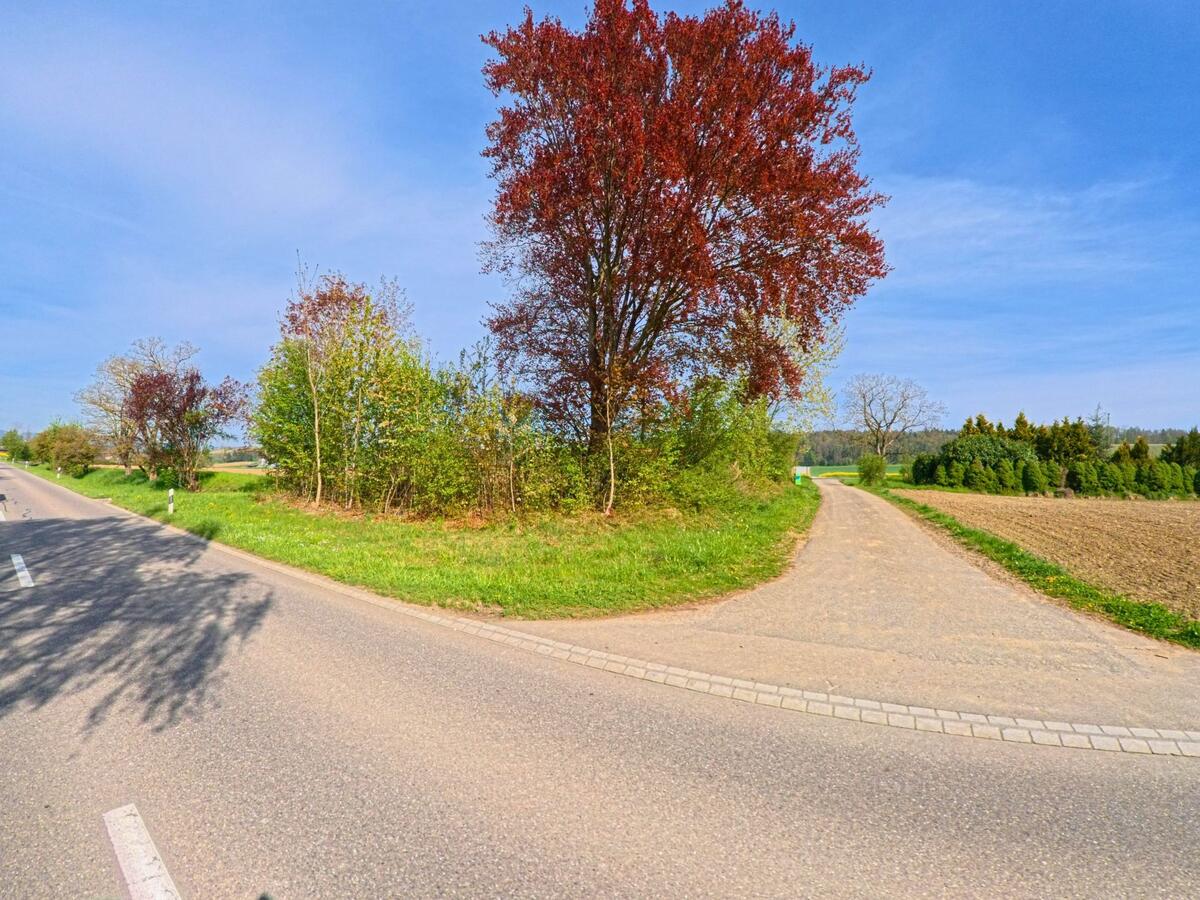 Ein Feldweg zweigt in [ORT], PLZ [PLZ], im [KANTON] von der Hauptstrasse ab und führt zwischen Bäumen und Feldern durch eine ländliche Landschaft.