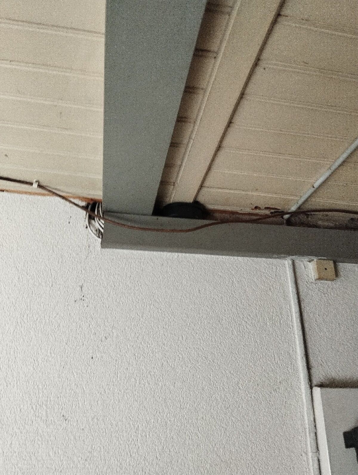 Unter der Decke eines Gebäudes in Dorf (8458, Kanton Zürich) verlaufen mehrere Kabel entlang eines Trägers, daneben ist ein Hohlraum sichtbar, der als möglicher Zugang für Schädlinge dienen könnte.