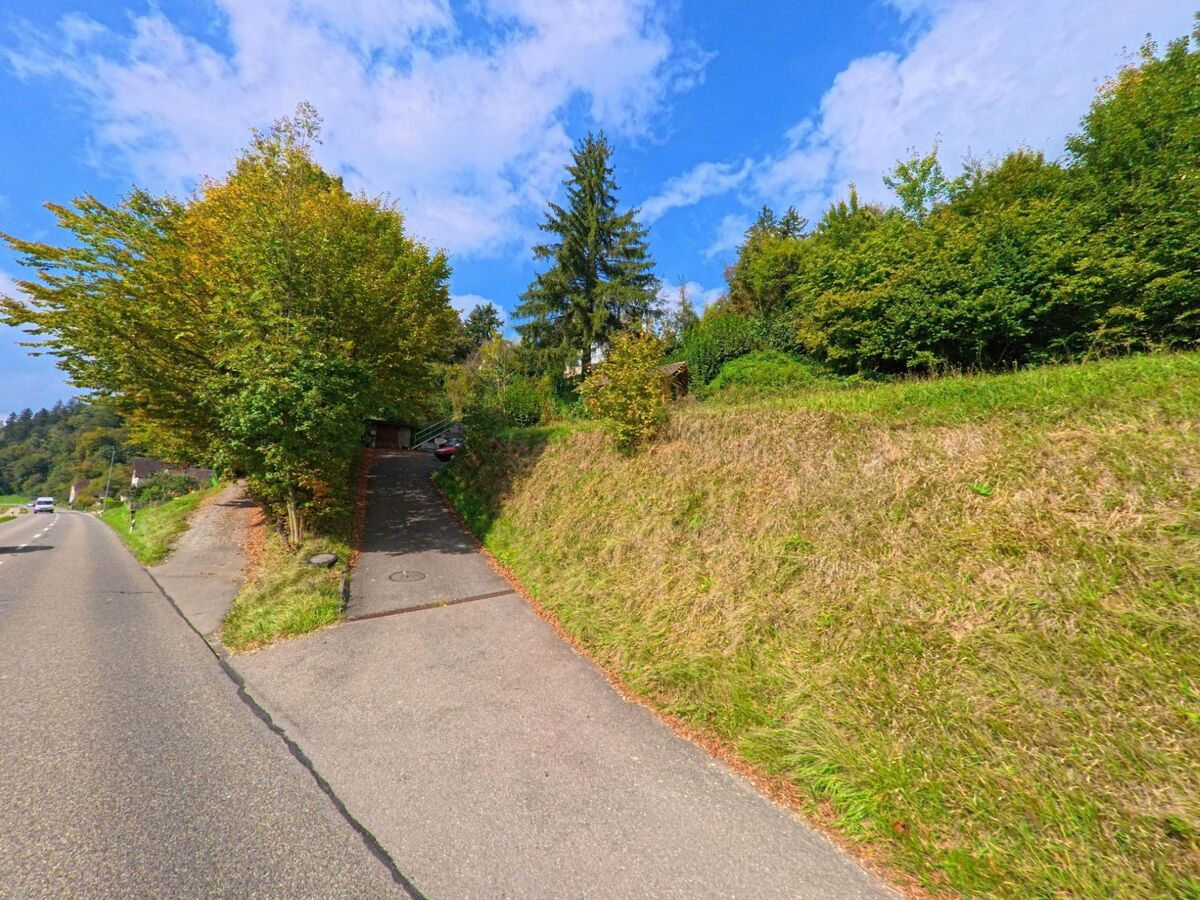 Eine schmale Auffahrt führt von der Strasse in Dürrenäsch (5724, Kanton Aargau) einen begrünten Hang hinauf, gesäumt von Bäumen und dichter Vegetation.