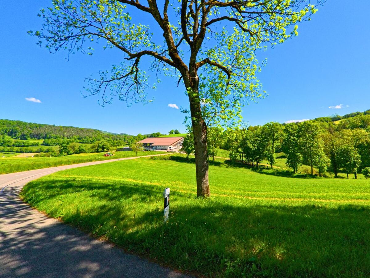 In Ederswiler (2813, Kanton Jura) führt eine Straße entlang eines weiten, grünen Feldes, das von Bäumen umgeben ist, mit einem Bauernhof im Hintergrund.