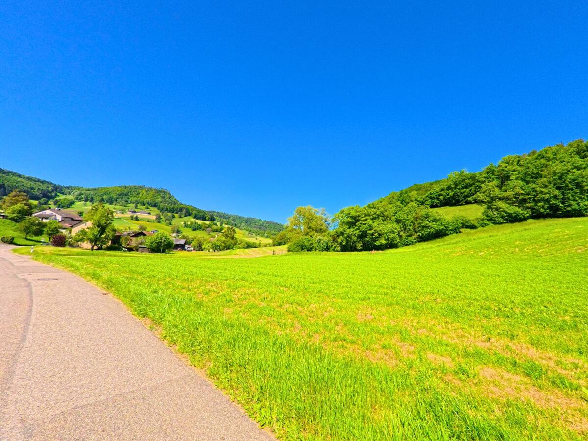 In Ederswiler (2813, Kanton Jura) erstreckt sich eine grüne Wiese entlang einer Straße, die von sanften Hügeln und Wäldern gesäumt wird. Im Hintergrund sind einige Häuser sichtbar, eingebettet in die natürliche Landschaft.