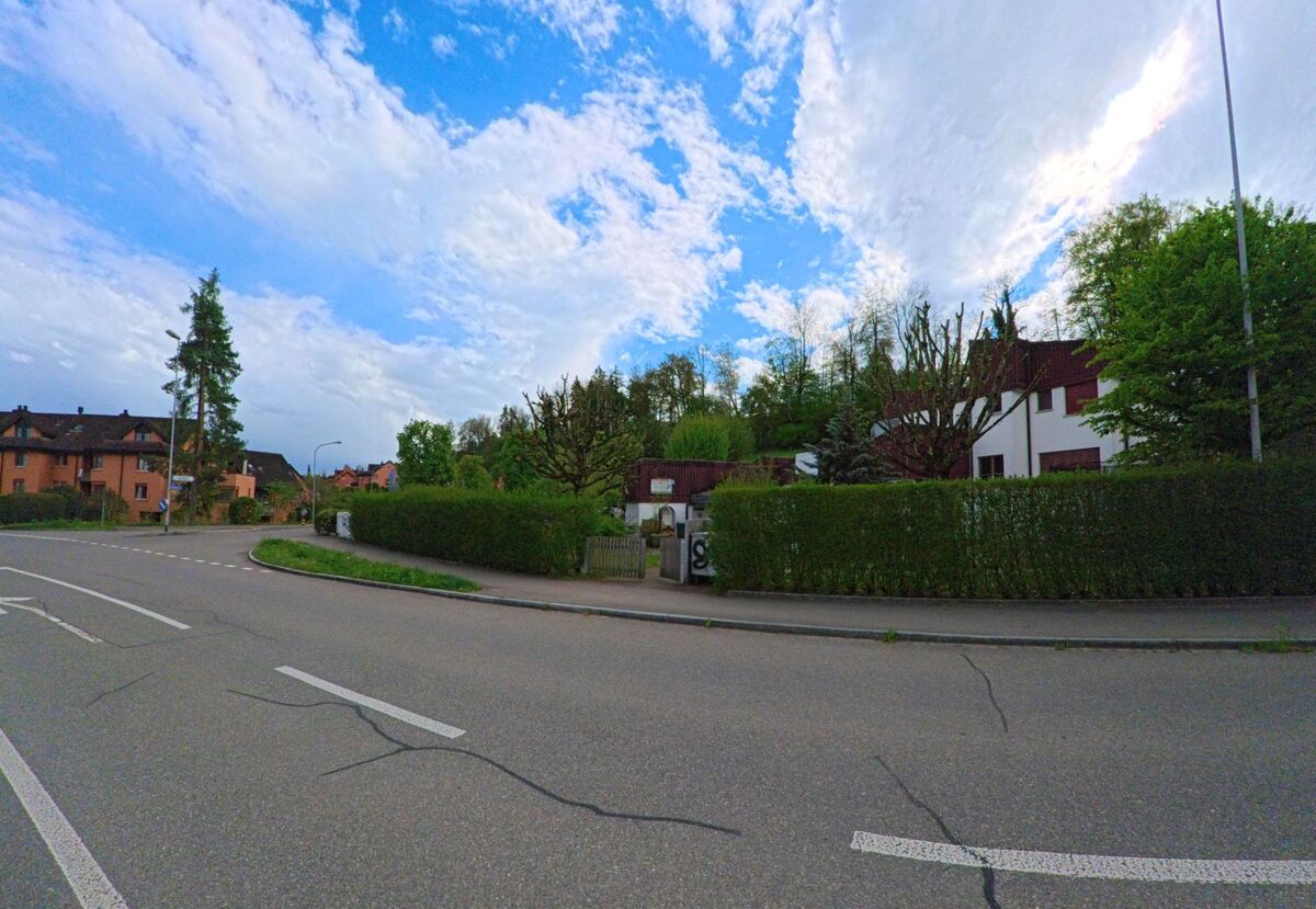 In Egg (8132, Kanton Zürich) verläuft eine Strasse vorbei an Wohnhäusern mit gepflegten Hecken und Bäumen.