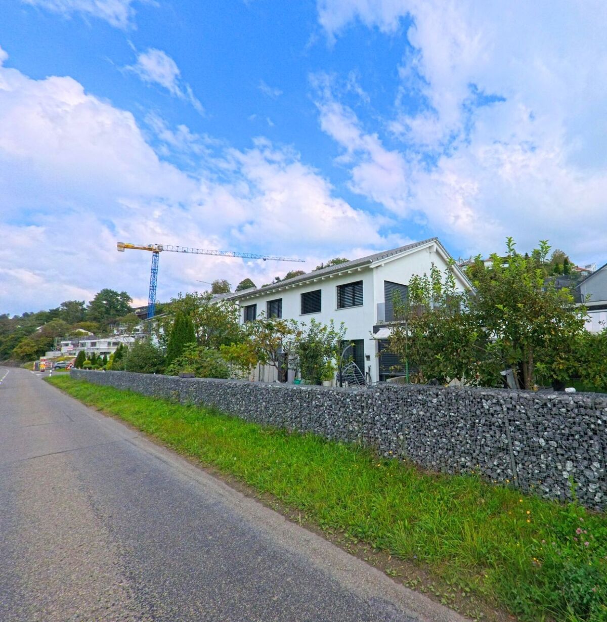 Reihenhäuser mit gepflegten Gärten und einer Steinmauer säumen eine Strasse am Ortsrand von Egliswil (5704, Kanton Aargau).