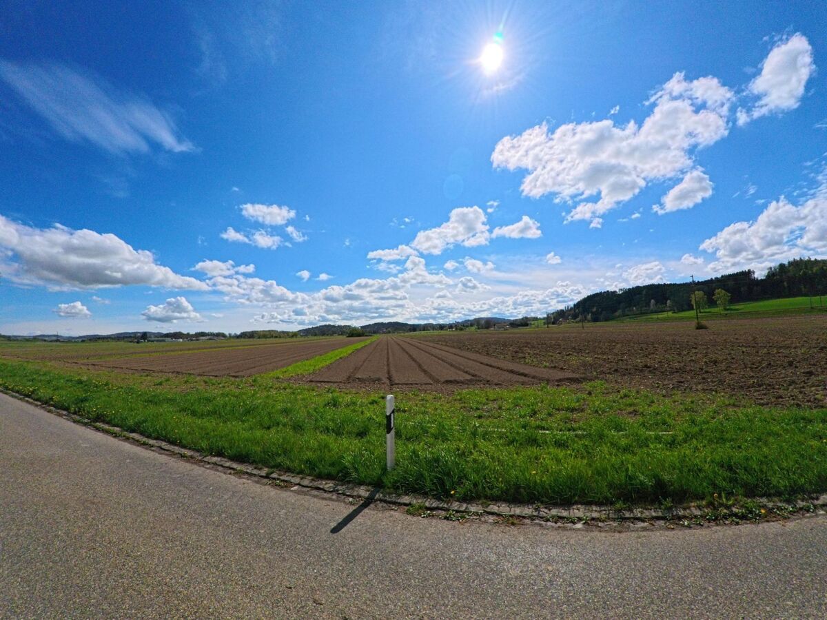 In der Gemeinde Elgg, PLZ 8353 im Kanton Zürich, erstrecken sich frisch bestellte Felder unter einem klaren Himmel bis zum bewaldeten Horizont.