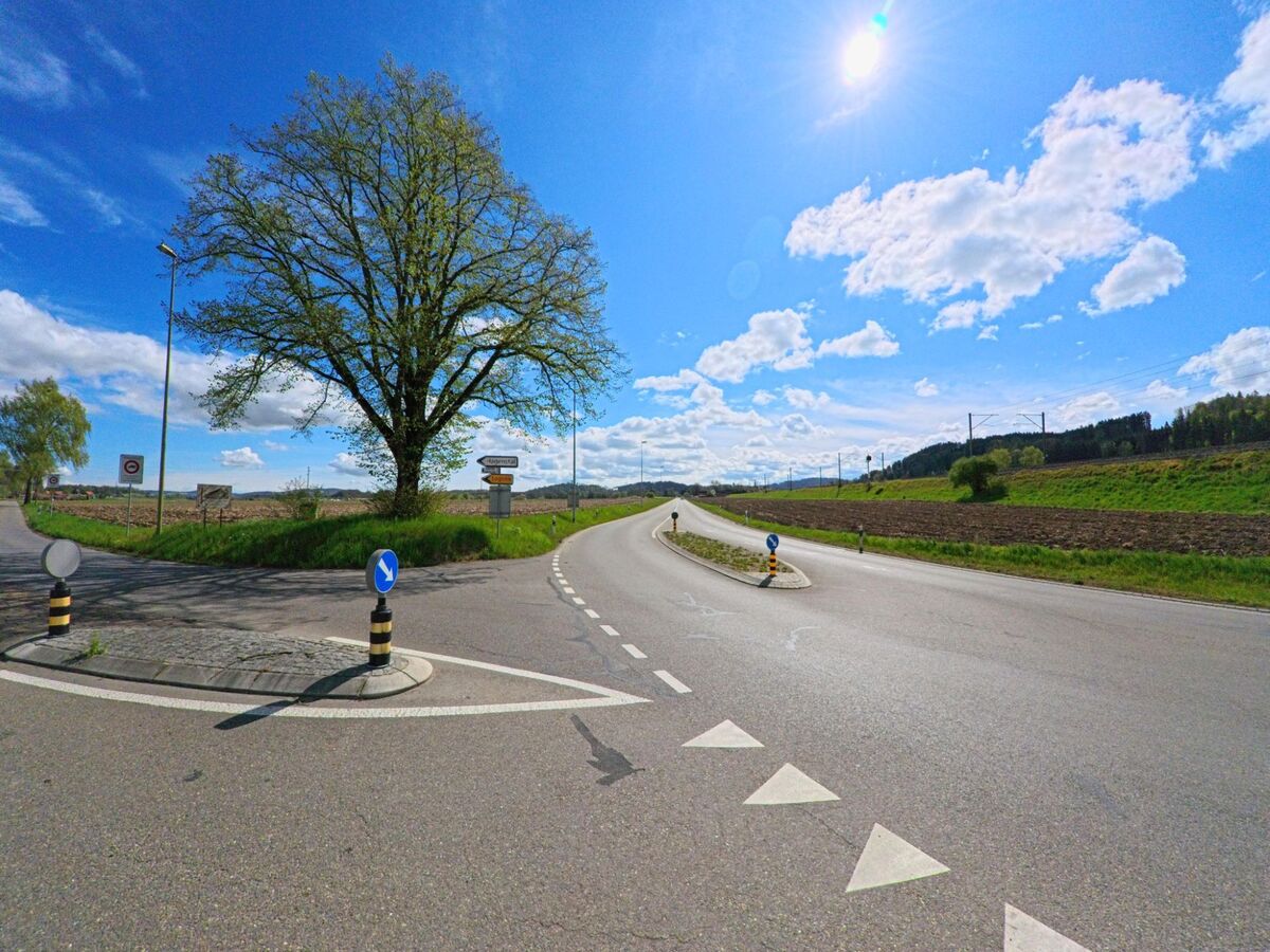 Am Ortseingang von Elgg, PLZ 8353 im Kanton Zürich, teilt sich die Landstrasse zwischen Feldern unter einem weit ausladenden Baum.