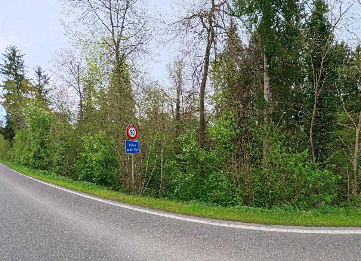 Ein Ortseingangsschild mit Tempobegrenzung markiert den Beginn von Ellikon an der Thur, PLZ 8548 im Kanton Zürich, entlang einer von Bäumen gesäumten Landstrasse.