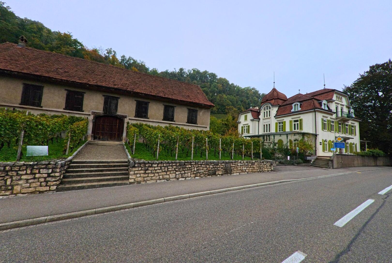 An der Hauptstrasse in Ennetbaden (5408, Kanton Aargau) steht eine historische Villa mit roten Dächern neben einem alten Wirtschaftsgebäude und einem kleinen Rebberg am Hang.