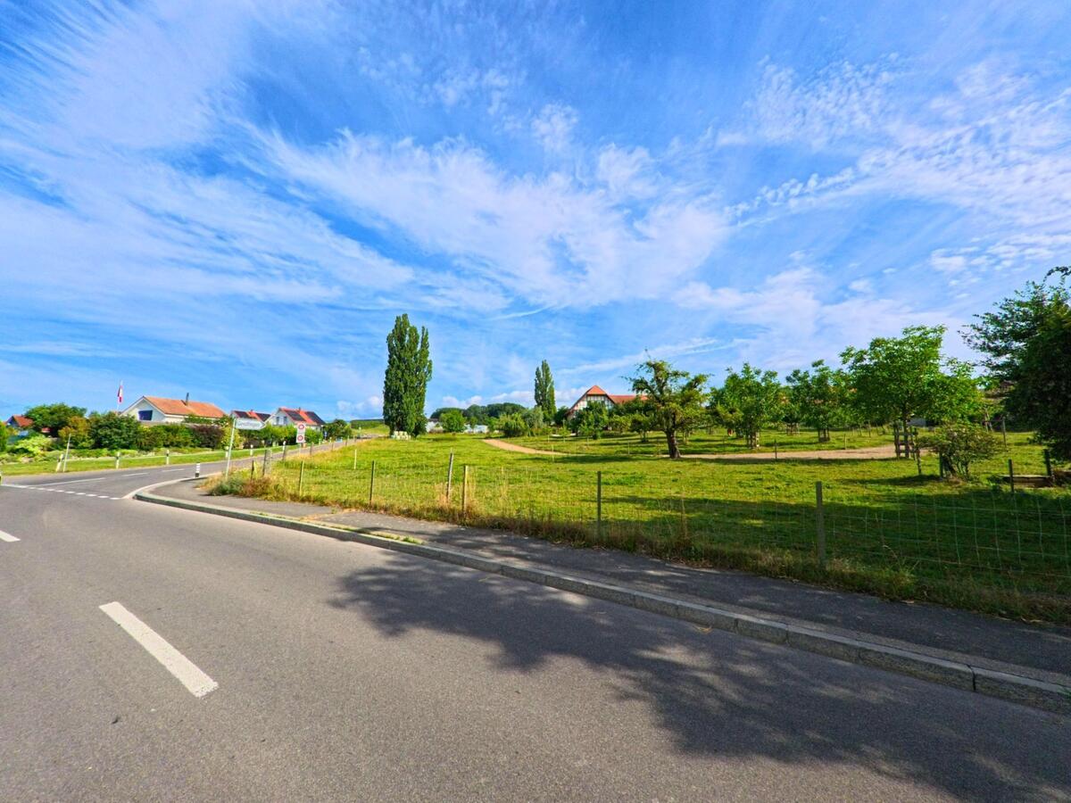 Auf einer weiten Gruenflaeche am Dorfrand von Epsach (3272, Kanton Bern) stehen verstreute Obstbaeume, waehrend eine Strasse an den eingezäunten Wiesen vorbeifuehrt.