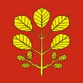 Erlen in Schweiz