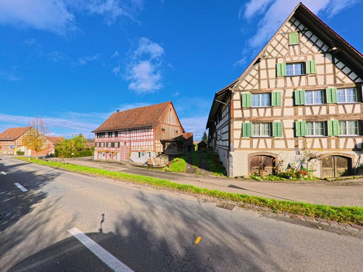 Entlang einer Dorfstrasse in Ermatingen (8272, Kanton Thurgau) stehen traditionelle Fachwerkhäuser und eine Scheune unter hellem Herbstlicht.