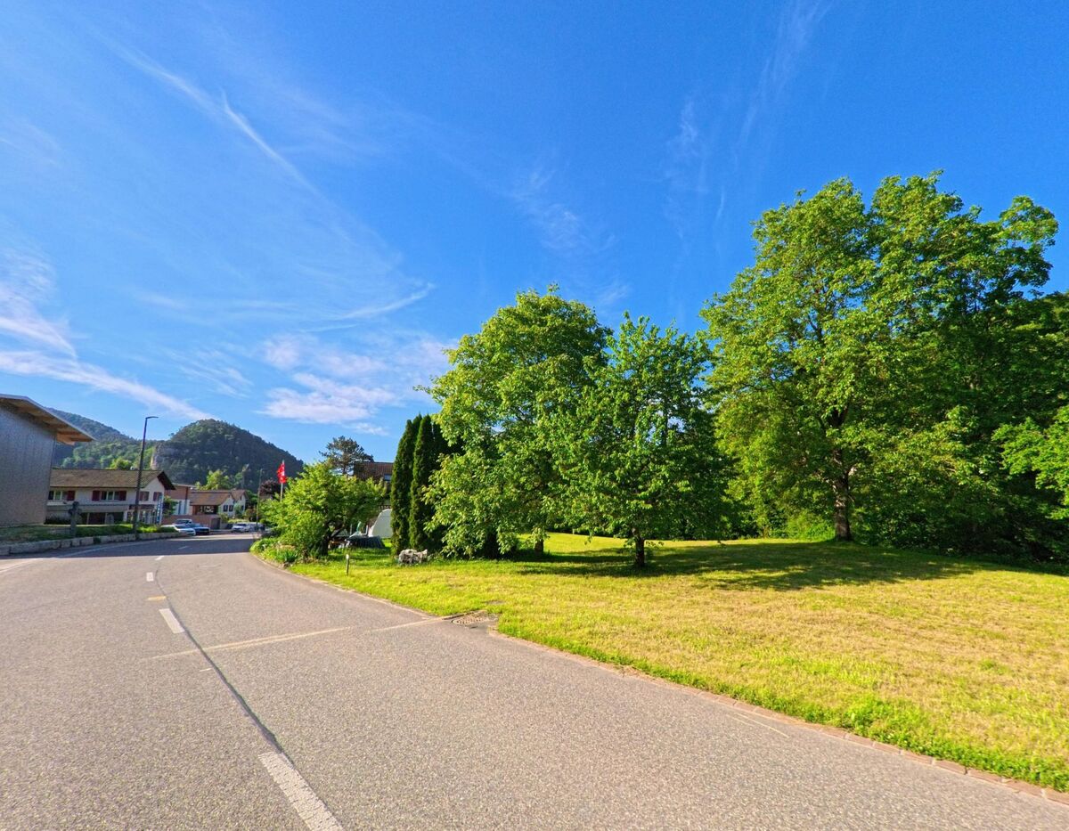 In Erschwil (4228, Kanton Solothurn) verläuft eine Nebenstrasse an einer offenen Grünfläche mit Bäumen vorbei, während im Hintergrund Wohnhäuser und eine Schweizer Fahne zu erkennen sind.