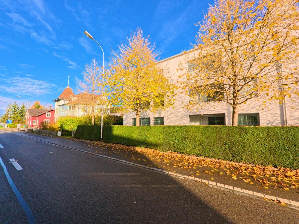 Entlang einer Strasse in Eschlikon (8360, Kanton Thurgau) stehen gelb verfärbte Bäume vor einer hohen Hecke und einem hellen Gebäude im Sonnenlicht.