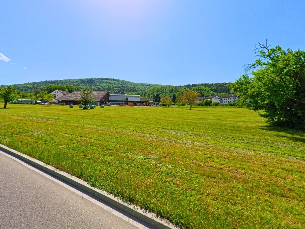 In Ettingen (4107, Kanton Baselland) erstreckt sich eine Wiesenfläche neben einer Strasse, auf der landwirtschaftliche Geräte und Heuballen gelagert sind, mit einem bewaldeten Hügel im Hintergrund.