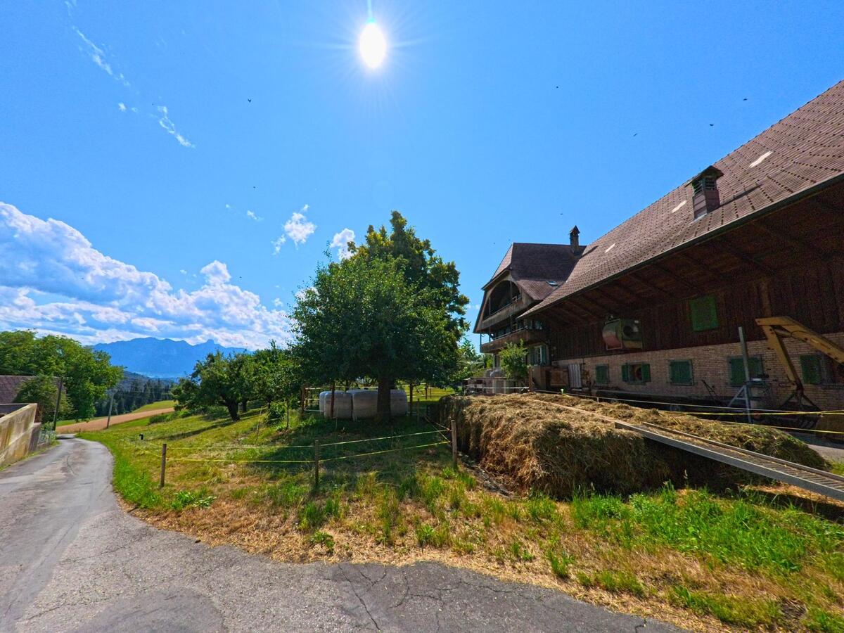 In Fahrni (3617, Kanton Bern) liegt ein grosser Bauernhof mit Heulager am Rand eines Hangs, waehrend im Hintergrund das Alpenpanorama unter der hellen Mittagssonne zu sehen ist.