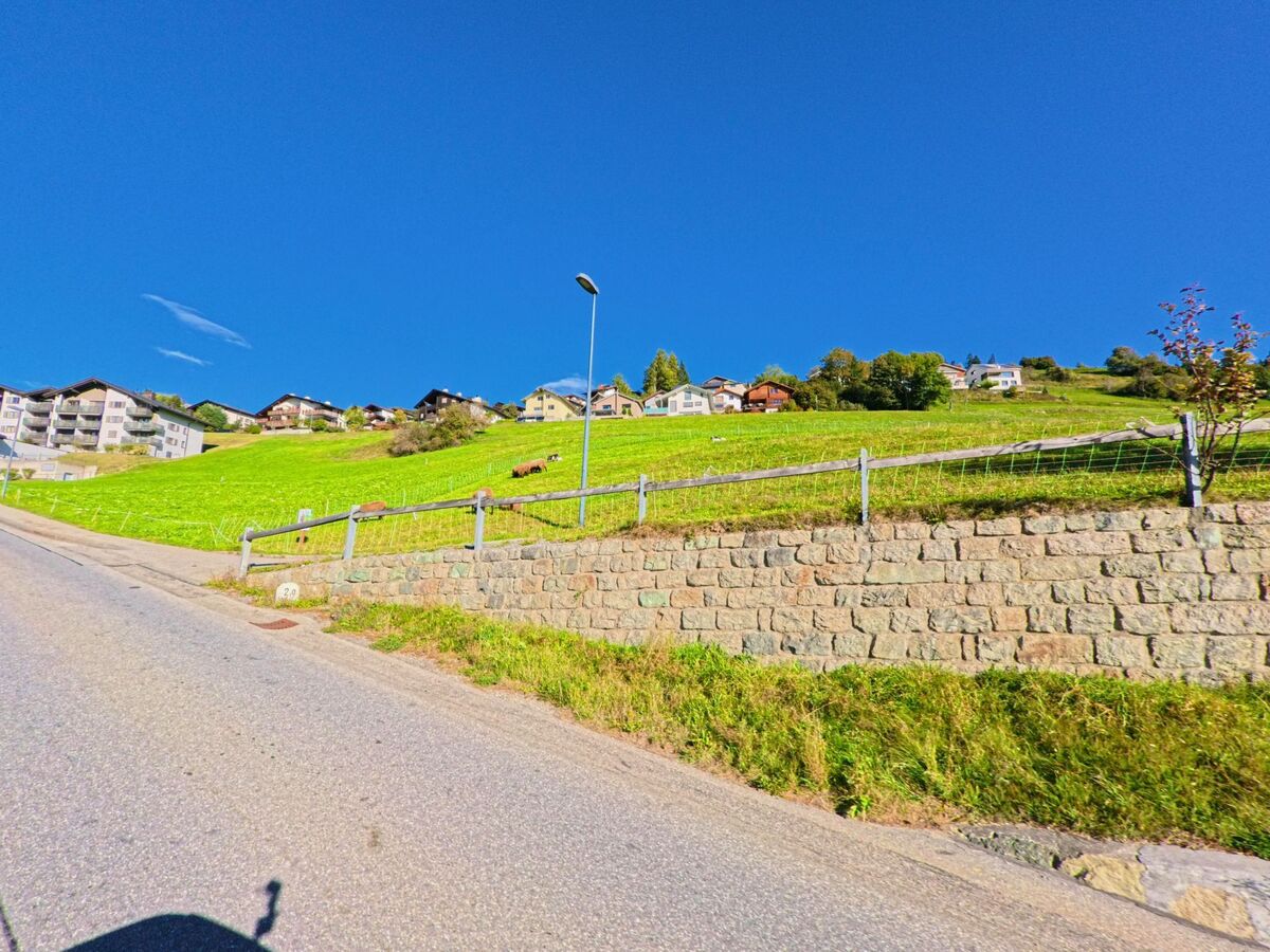 In Falera (7153, Kanton Graubuenden) fuehrt eine ansteigende Strasse an einer gruenden Wiese mit grasenden Kuehen und Wohnhaeusern am Hang vorbei.