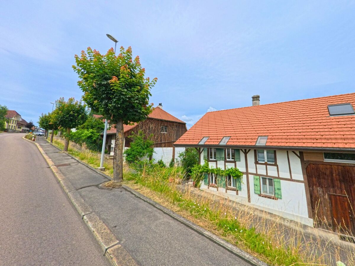 In Faoug (1595, Kanton Freiburg) säumen gepflegte Bäume und ein traditionelles Fachwerkhaus mit Scheune eine leicht ansteigende Strasse am Ortsrand.