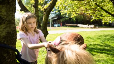 In Altnau (8595, Kanton Thurgau) pflegt ein Kind ein Pony auf dem Feierlenhof, umgeben von gruenen Wiesen und schattenspendenden Baeumen.