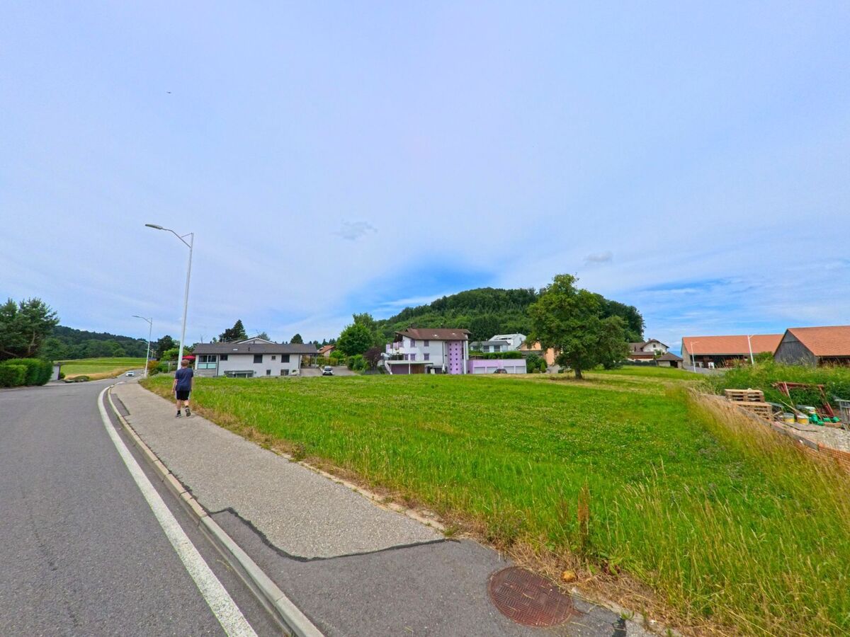 In Ferpicloz (1724, Kanton Freiburg) führt ein Gehweg an einer ruhigen Strasse entlang, vorbei an Wiesen, einem lila Wohnhaus und mehreren Bauernhäusern.