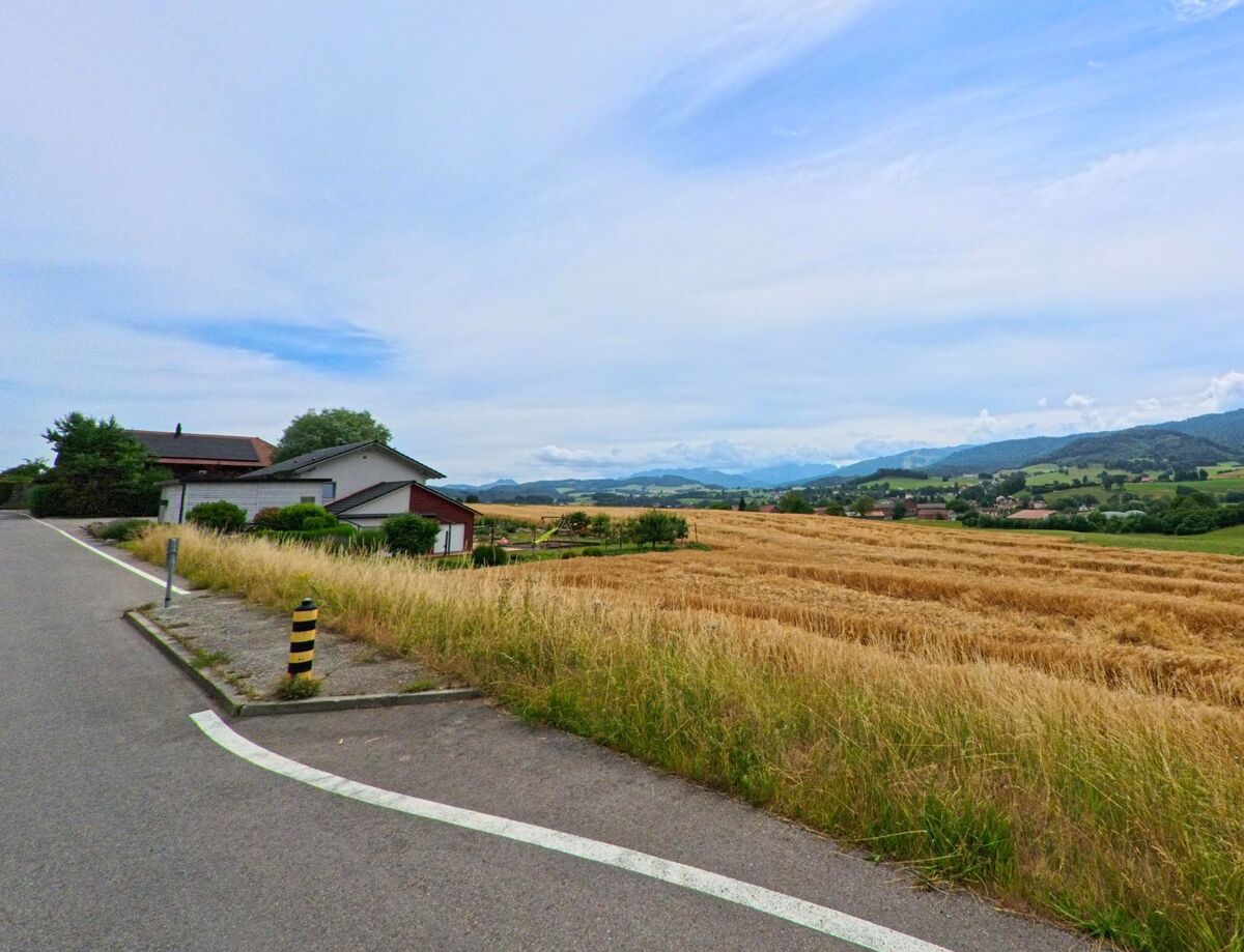 In Ferpicloz (1724, Kanton Freiburg) führt eine schmale Strasse an einem Weizenfeld entlang, mit Ausblick auf das weite Tal und die Hügelkette im Hintergrund.