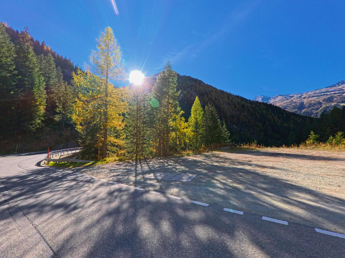 Sonnenlicht faellt ueber eine offene Strassenflaeche mit Baeumen am Talboden von Ferrera (7444, Kanton Graubünden).