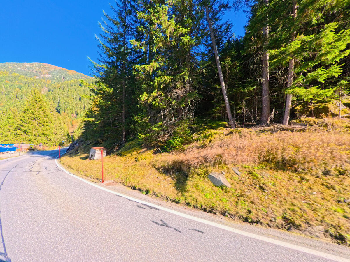 Eine sanfte Kurve fuehrt durch den Wald entlang der Bergstrasse bei Ferrera (7444, Kanton Graubünden).