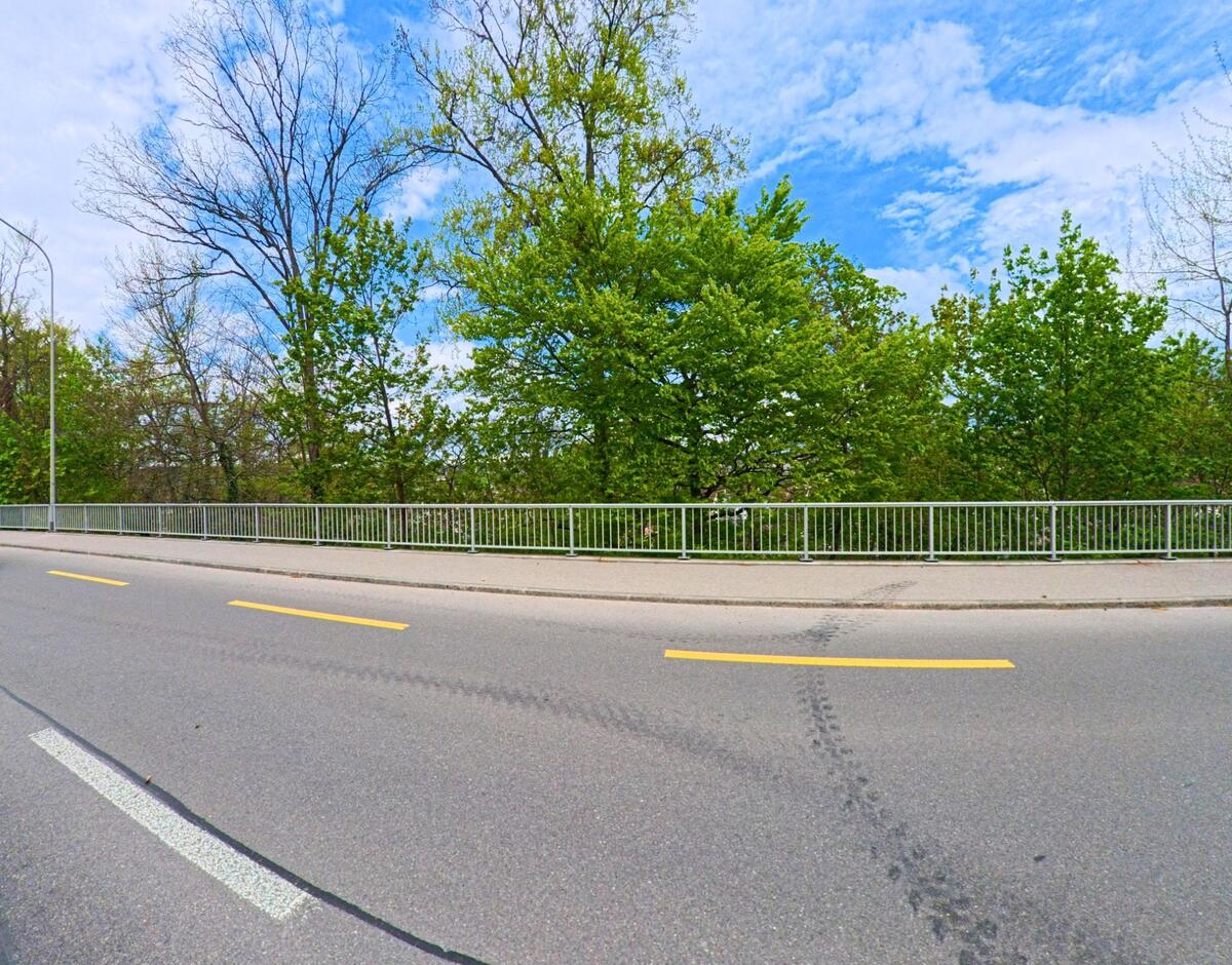 In der Gemeinde Feuerthalen im PLZ-Gebiet 8245 im Kanton Zürich verläuft eine Strasse mit Fussgängerbereich entlang eines dicht bewachsenen Waldstücks.