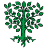 Fey