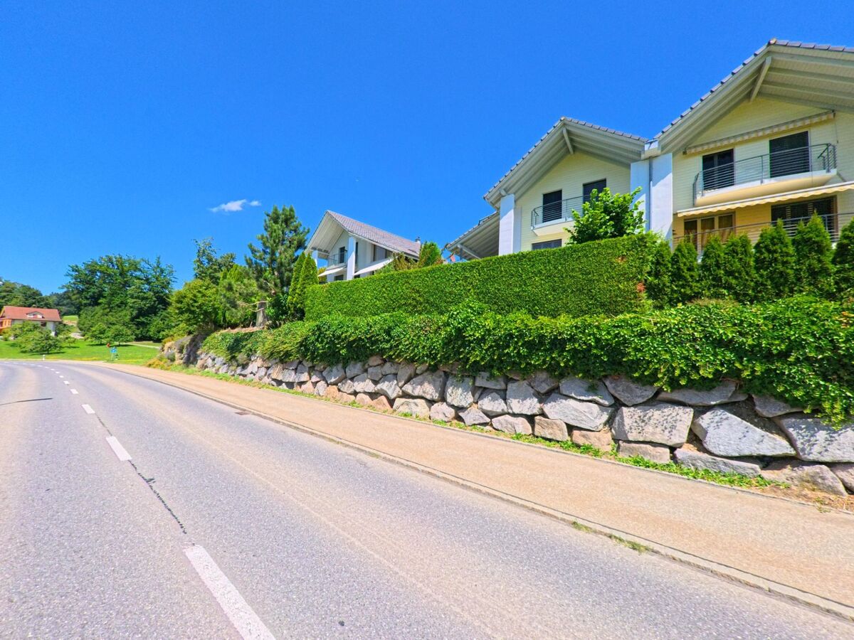 In Fischbach (6145, Kanton Luzern) saeumen moderne Wohnhaeuser mit gepflegten Gaerten und einer hohen Natursteinmauer eine geschwungene Landstrasse.