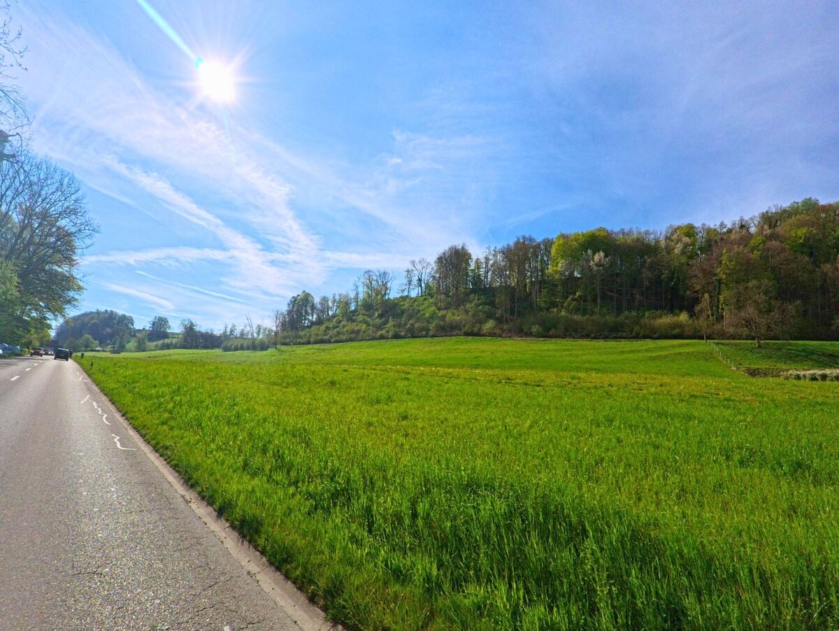 In der Gemeinde Flaach, PLZ 8455 im Kanton Zürich, verläuft eine Landstrasse entlang einer weiten Wiese, die sich bis zu einem bewaldeten Hügel im Hintergrund erstreckt.