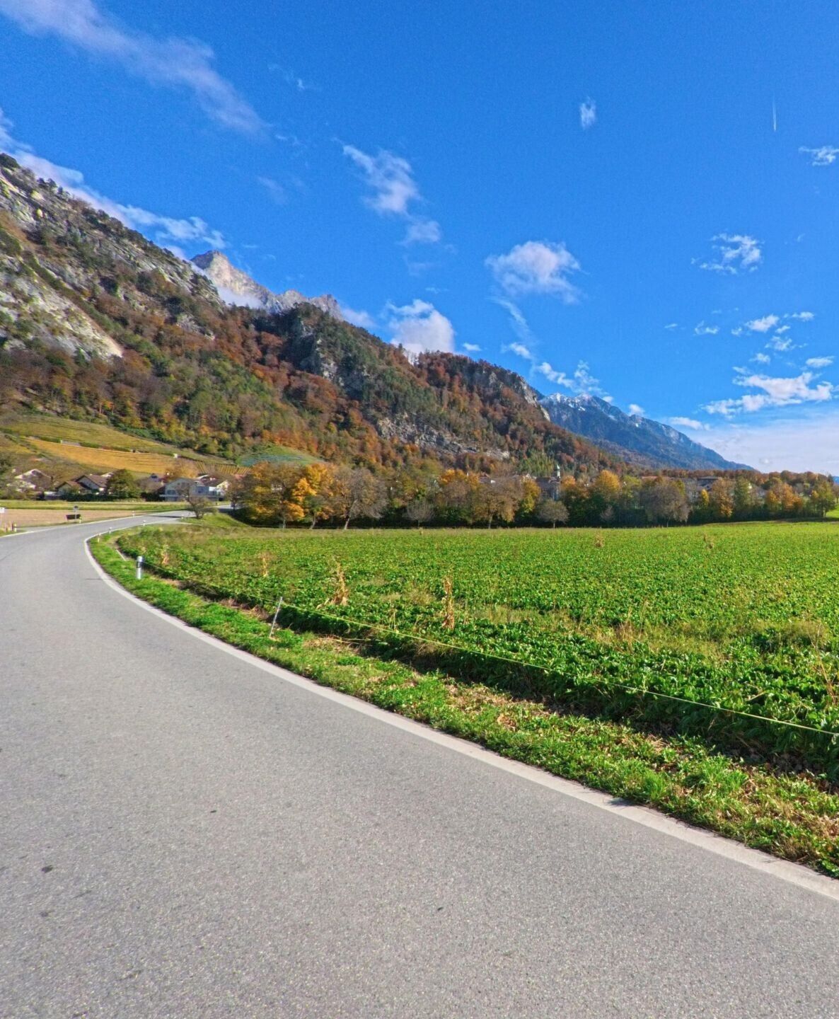 Eine sanft verlaufende Landstrasse führt durch offene Felder, während sich die herbstlich gefärbten Berghänge bei Fläsch (7306, Kanton Graubünden) weit im Hintergrund abzeichnen.