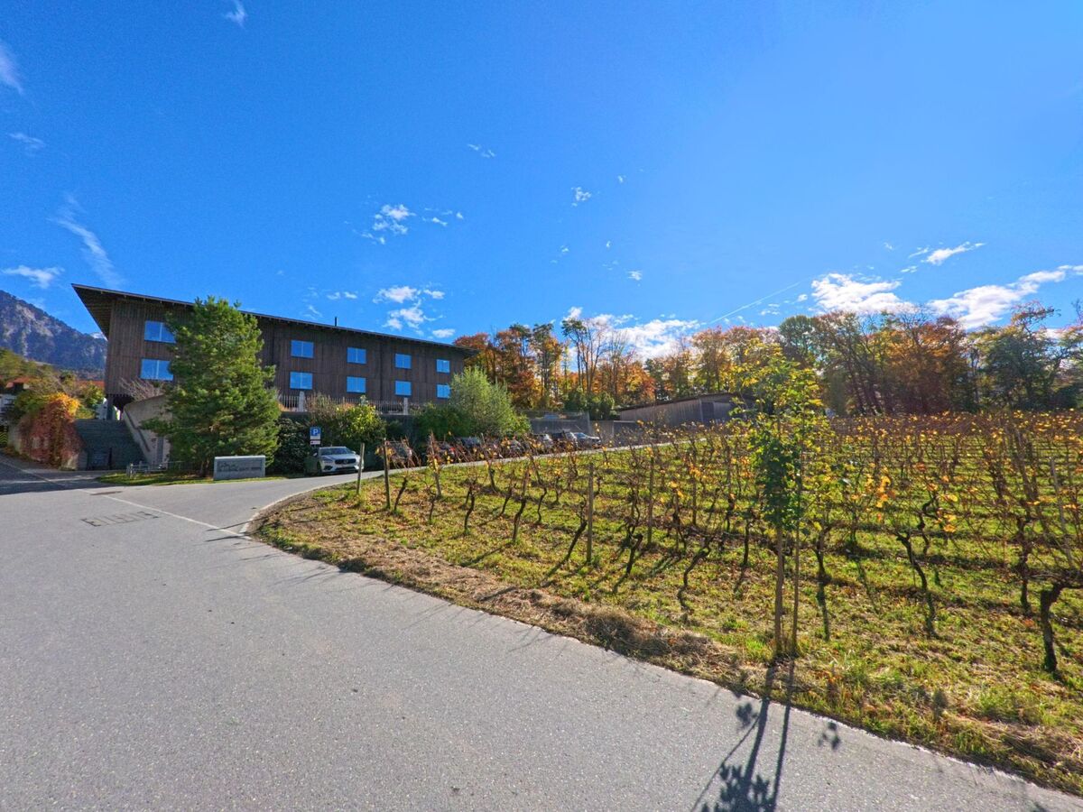 Am Rand von Rebzeilen steht ein modernes Gebäude neben einer ruhigen Zufahrtsstrasse in Fläsch (7306, Kanton Graubünden) unter herbstlichem Himmel.